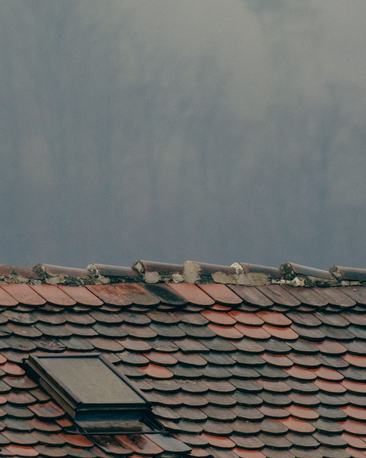 An aged shingle roof with a skylight